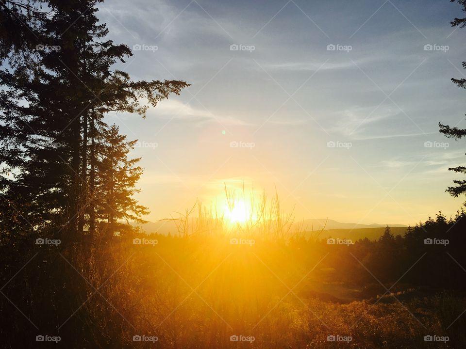 Sunset over the Olympic Mountains 