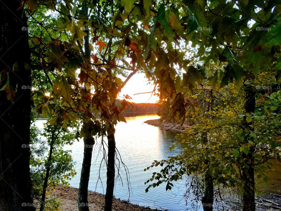 autumn lake view