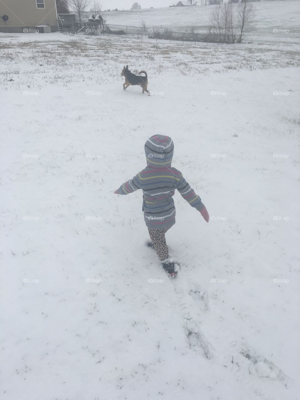 Playing in the snow