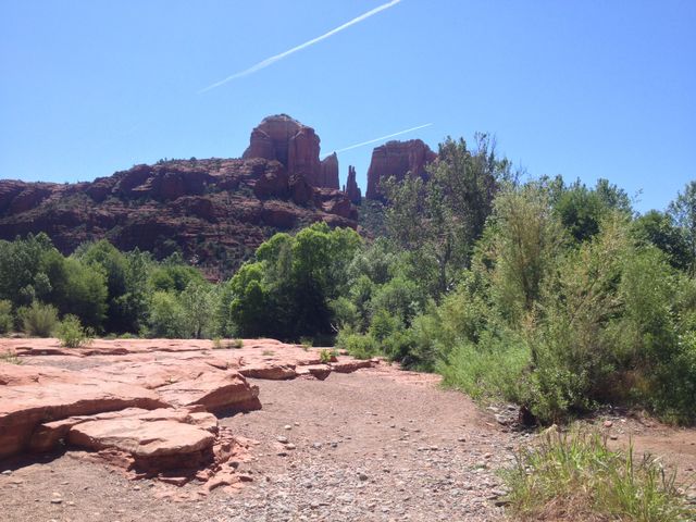 Dry Rock Bed