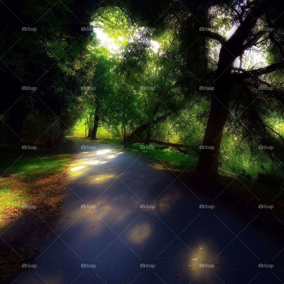 Dreamy and autumnal walkway in Stockholm