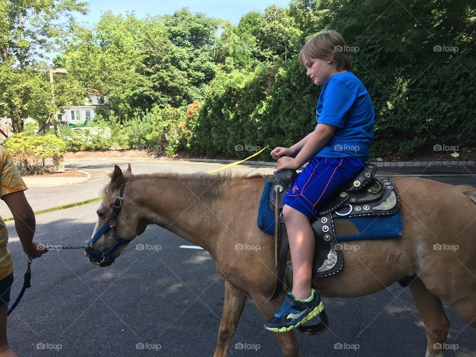 Seated, Horse, Cavalry, People, Mammal