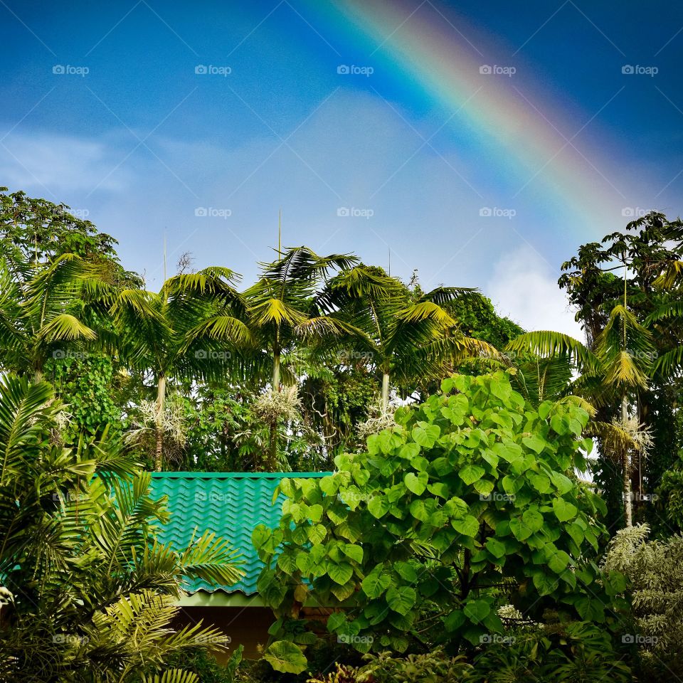 Rainbow from the back lanai at my Hawaiian home.