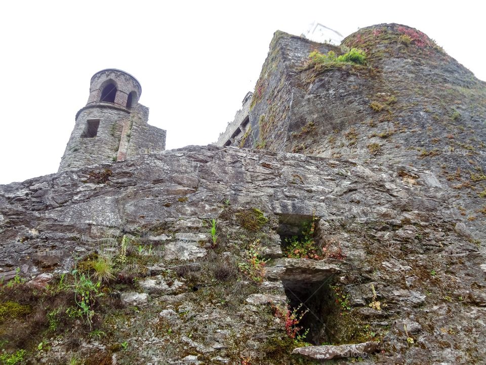 Looking up at Blarney