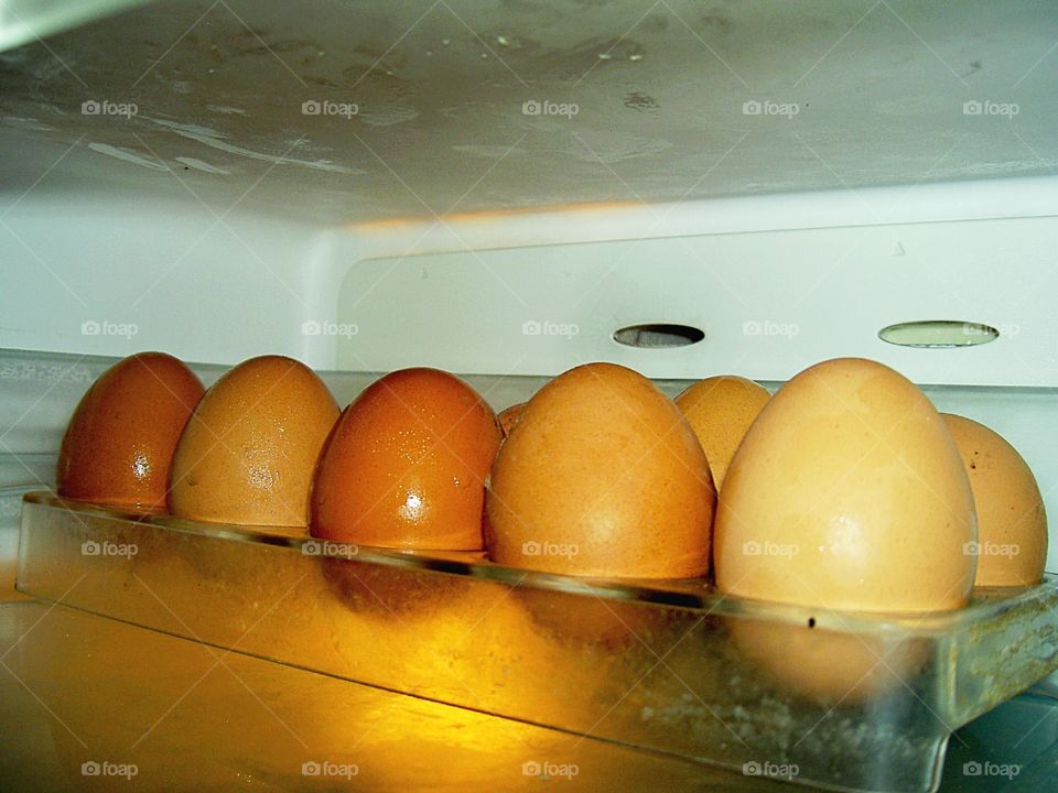 Chicken eggs in refrigerator