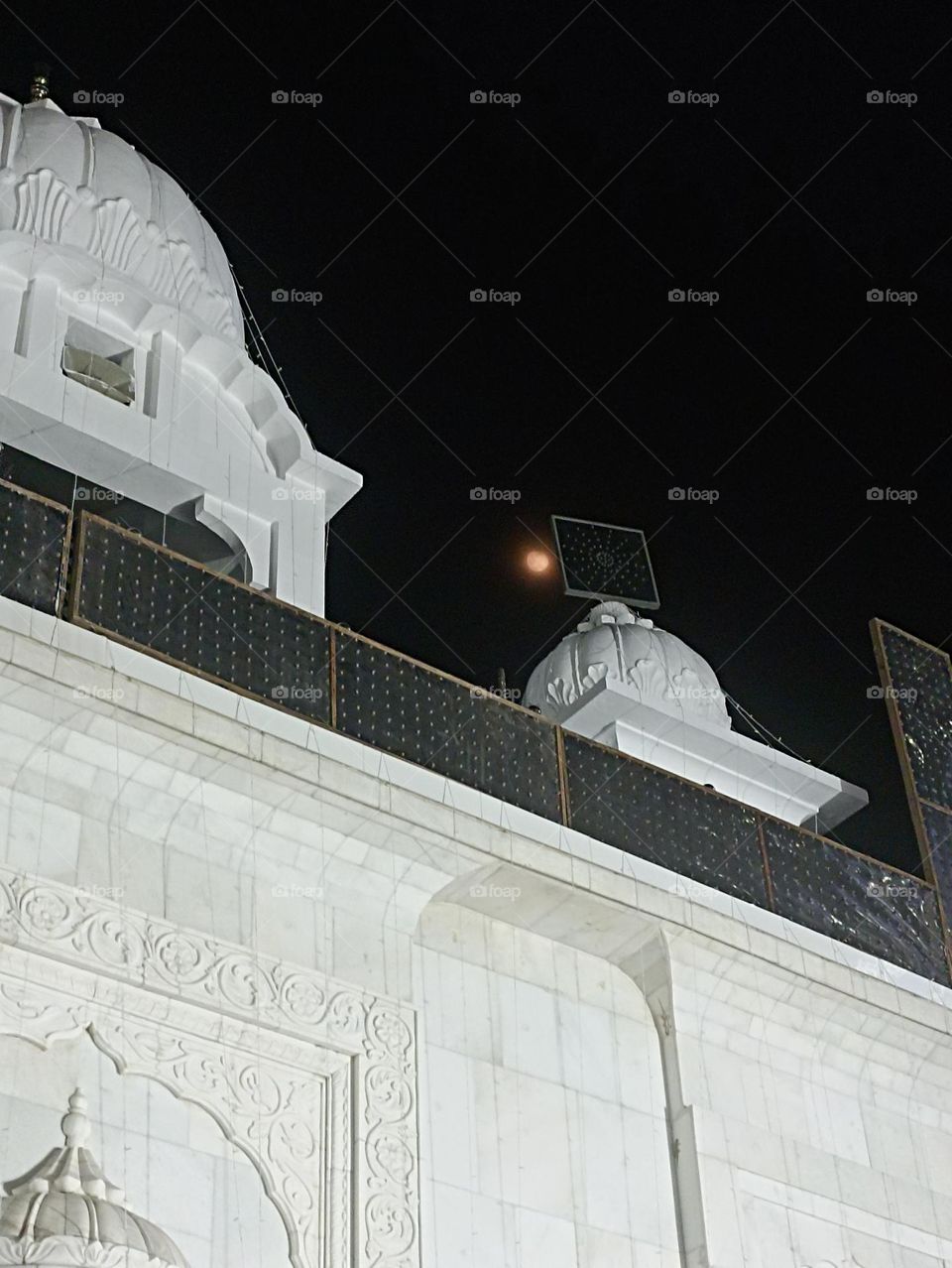 two beauties together