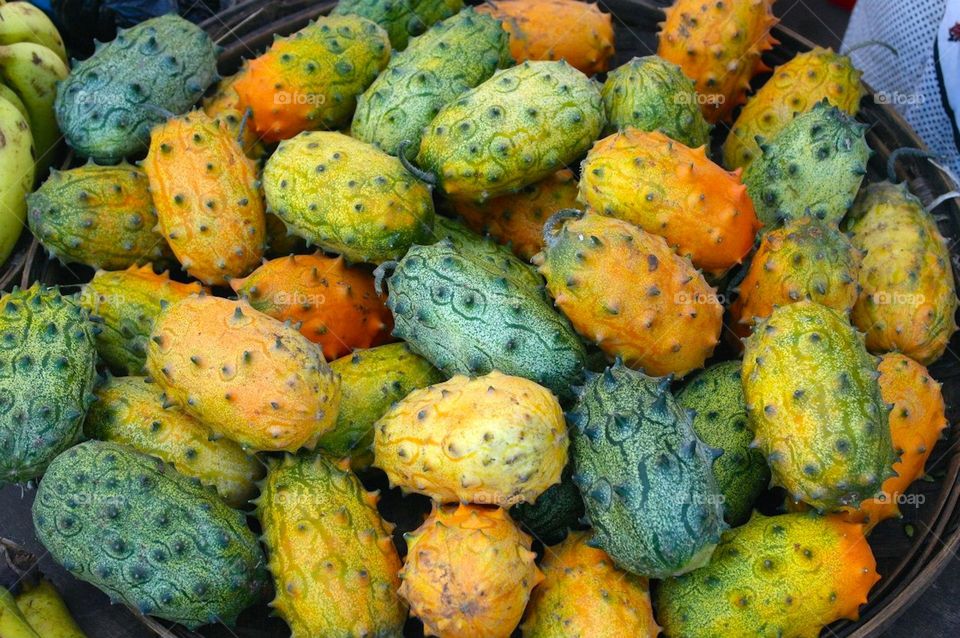 Abundance of cucumis metulifer