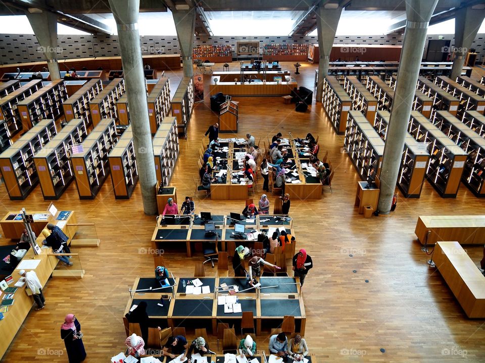 Alexandria Library 