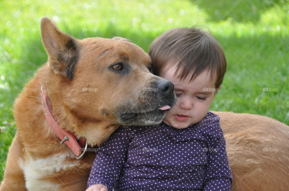 #dog #pet #pedigree #happy #play #dummer #can #kiss #smile #together #be #like #love #heart #instant #moment #forever #friend #frinds #friendship #kid #children #animal #world #nature #natura #natural