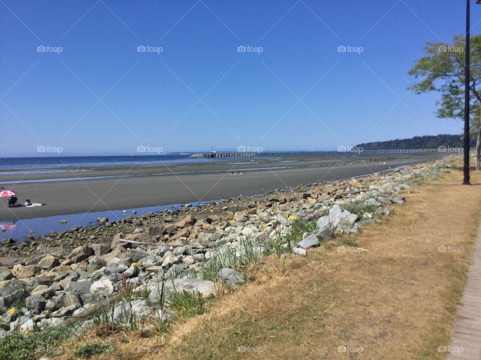 Shore along Crescent Beach, British Columbia, Canada 