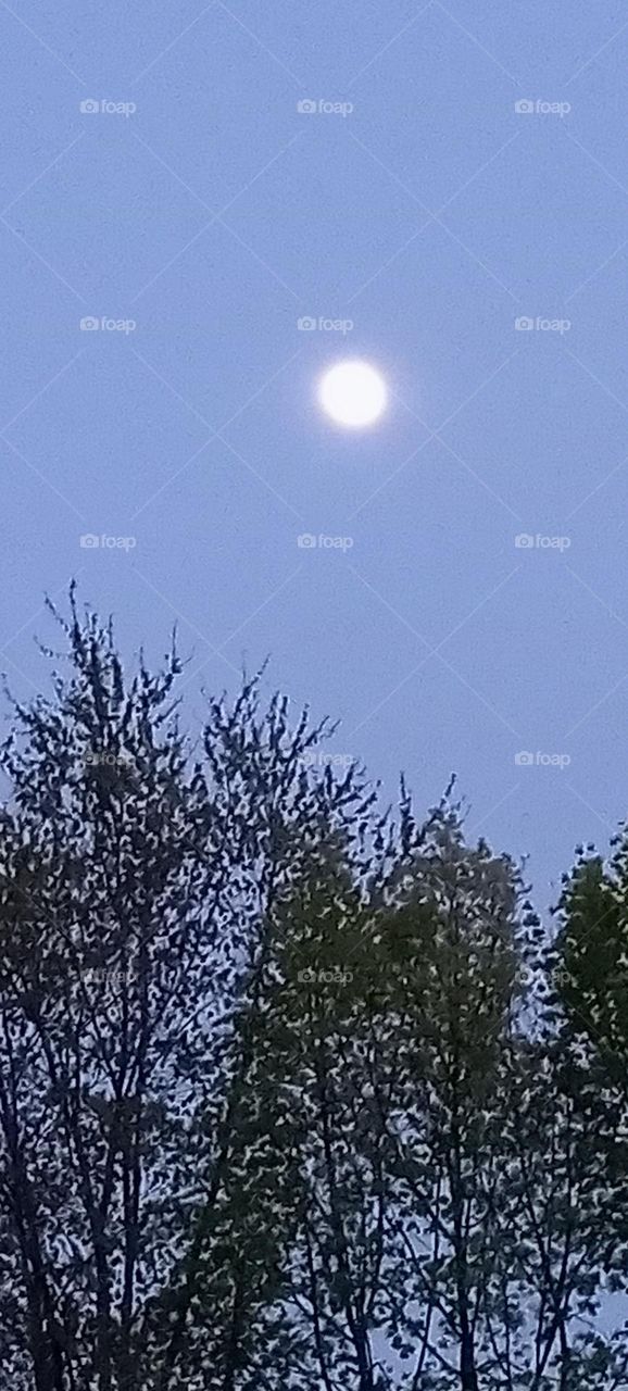 Walking in familiar childhood places seen through more appreciative eyes. A helpful walk at a difficult time 