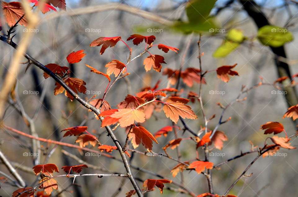 FALL in L💛VE with Autumn! 🍂🍁