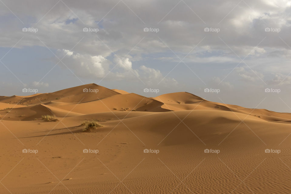 Dunes at Sahara Desert