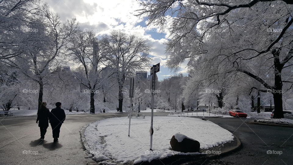 Winter in New York City. 🗽❄❄❄⛇☃🌨🌨🎄❄