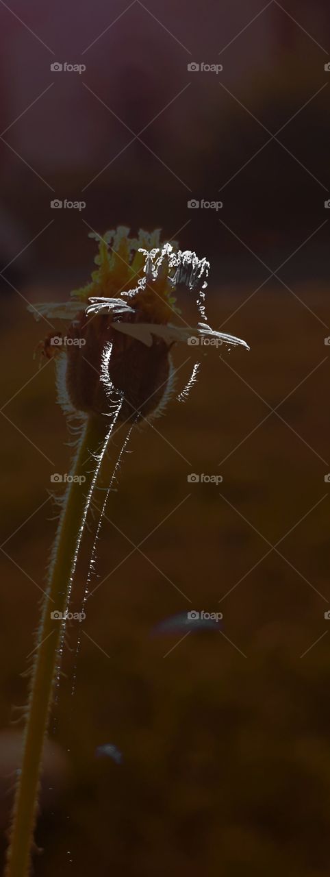 colour and black/white