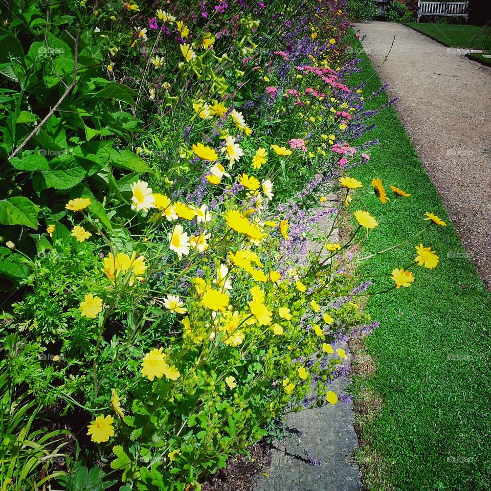 Gardens. Old walled garden