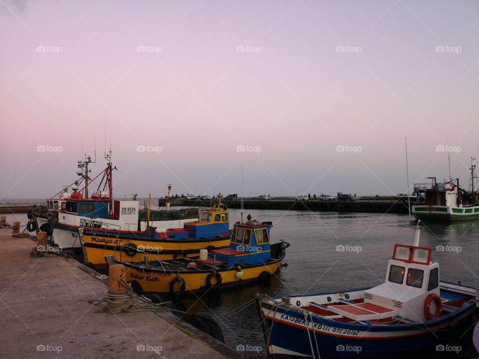 Boats in harbor
