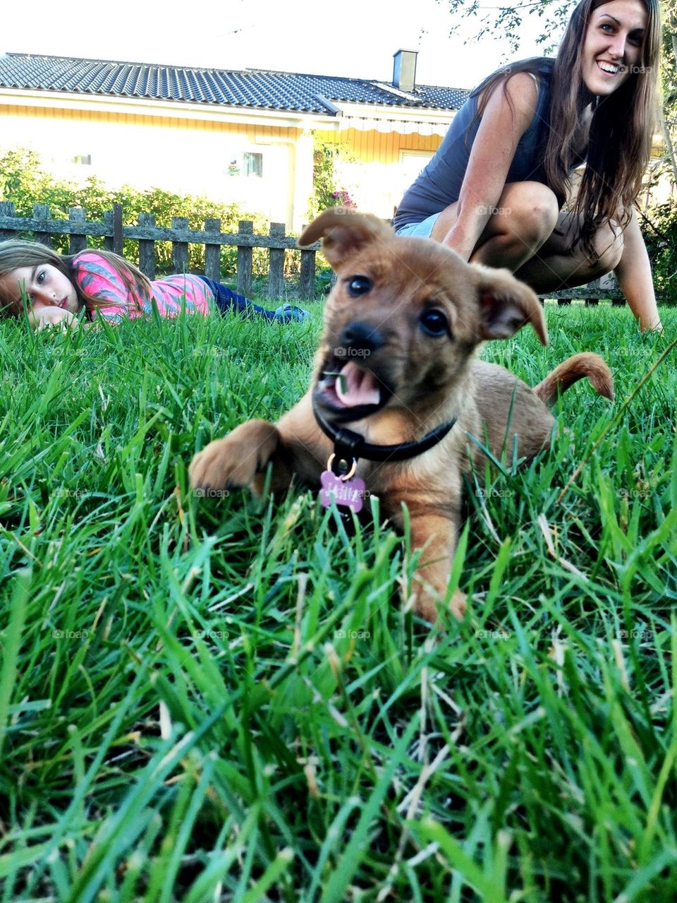Grass in his mouth...Mmm good!