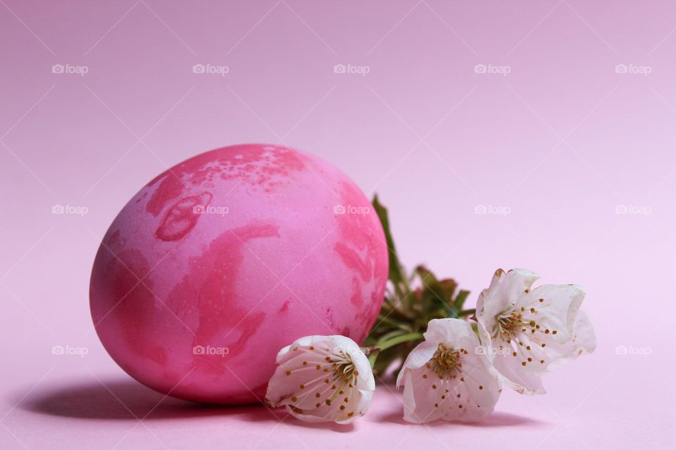 Close up of Easter pink egg with first spring flowers on the pink background