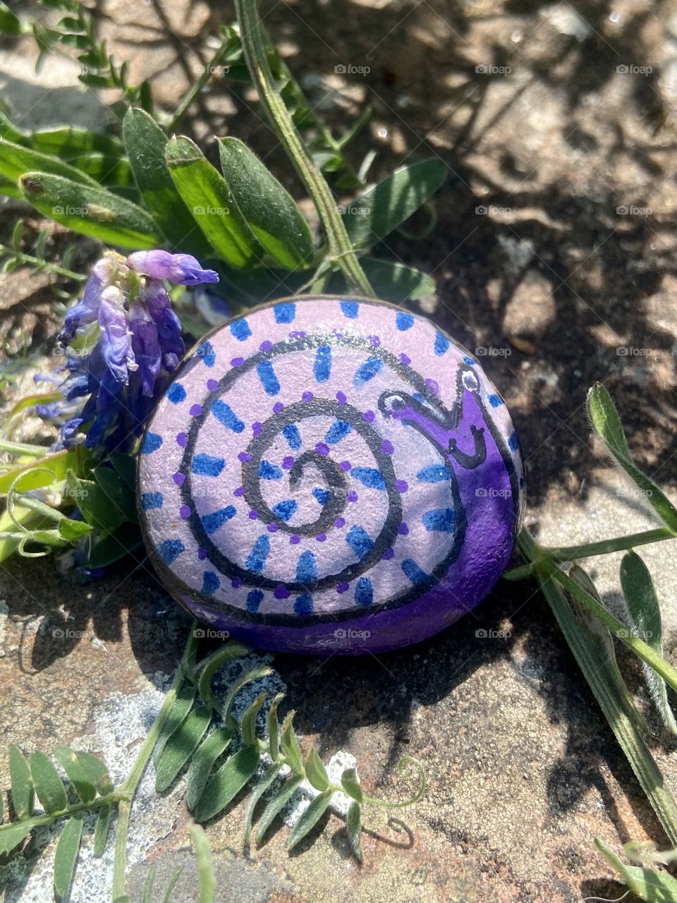 Cute little painted rocks I found on my little adventure during my lunch break 🐌