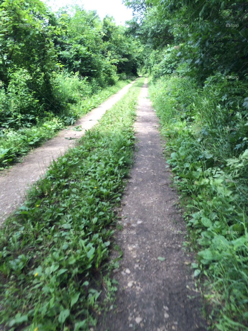 The path less traveled . Bike ride discovery 