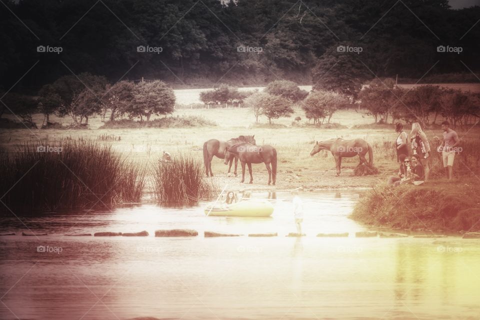 Water, People, Landscape, Tree, Cavalry