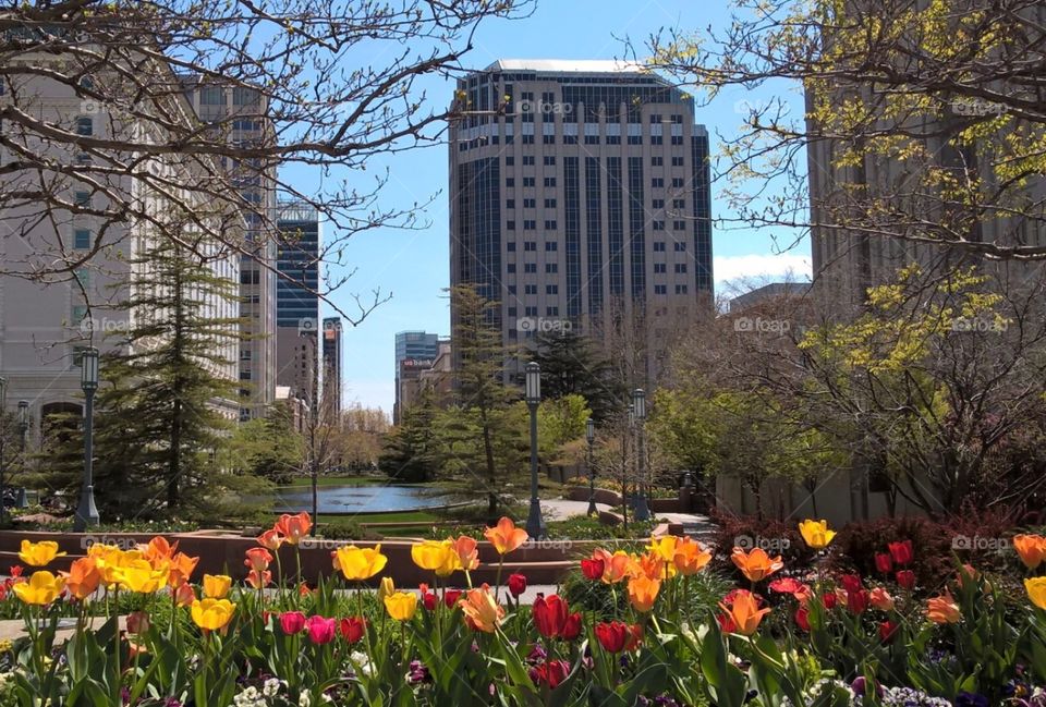 Scenic downtown in spring