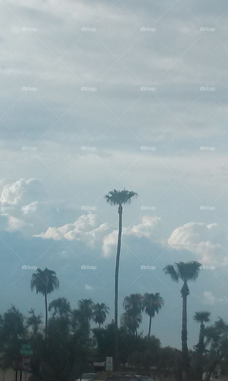 Massive Clouds form in distance
Monsoon Storms are their Name 
What Beauty they hold 
But also can be treacherous 
Just the Same 
Flash Floods  , Lightning , Hail 
Yet to the desert, blessed Rain
The Cloud Formation, Are just
Unbelievably Insane ,