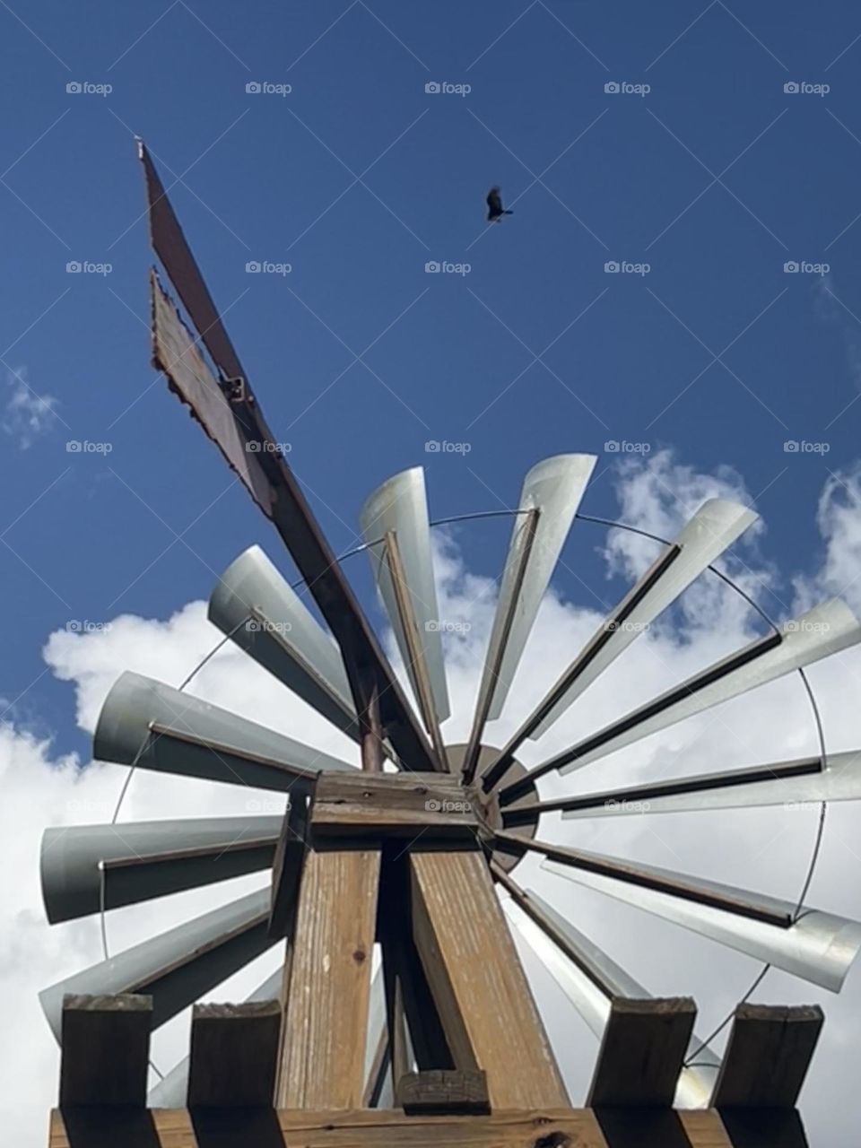 Upshot of my windmill on a beautiful day, with a vulture flying by!