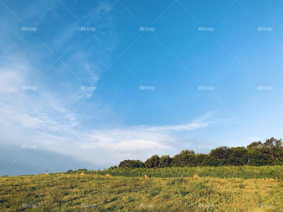 Beautiful blue sky with streaky clouds over a pasture, bean field and line of trees on the horizon