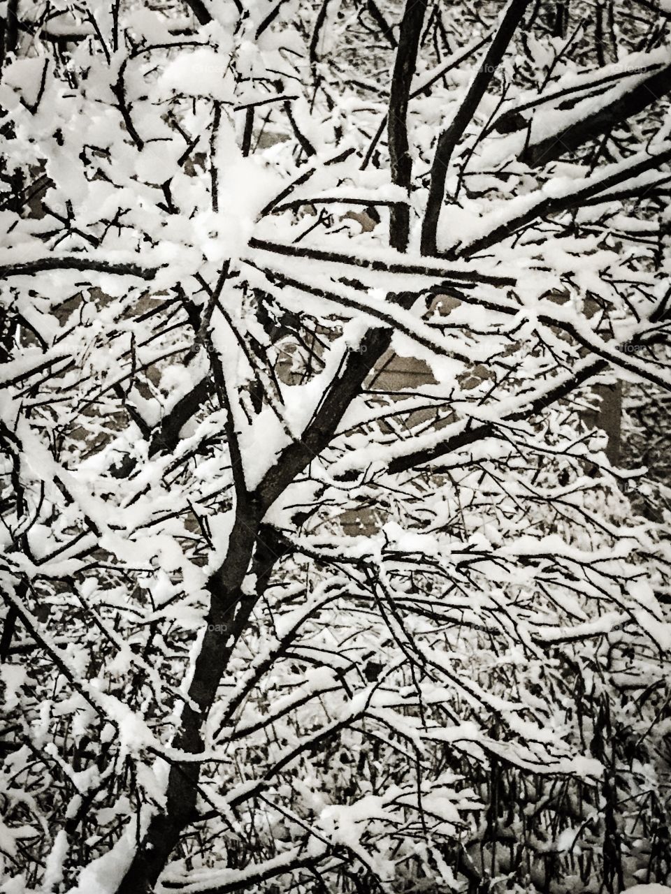 Winter arrives painting a white blanket of snow on everything, while clouds of frozen breath billow and can be seen floating from every creature forced to endure the chilling wind and bitter temps.
