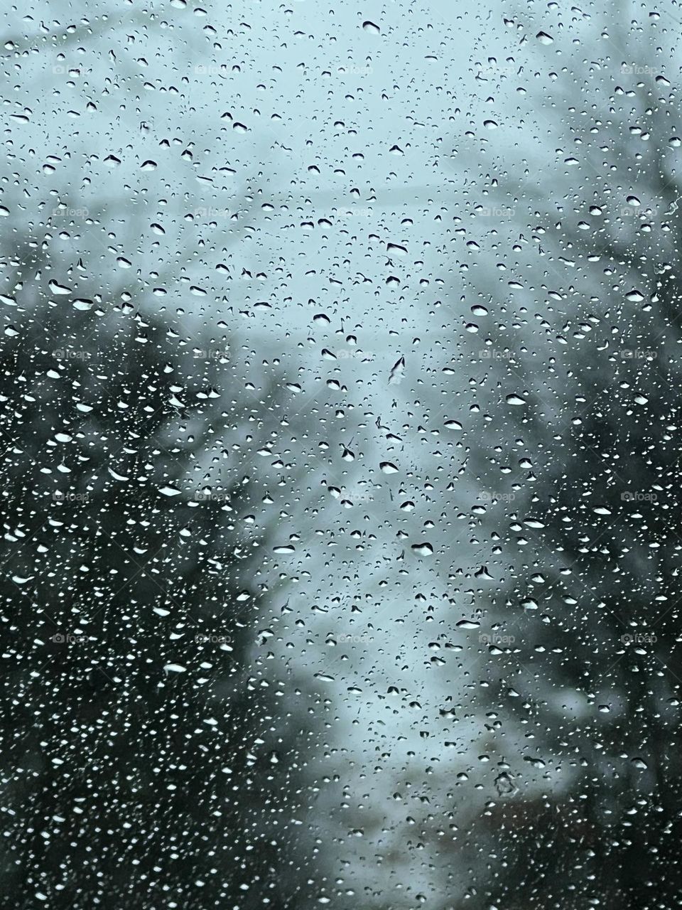 Raindrops on a window