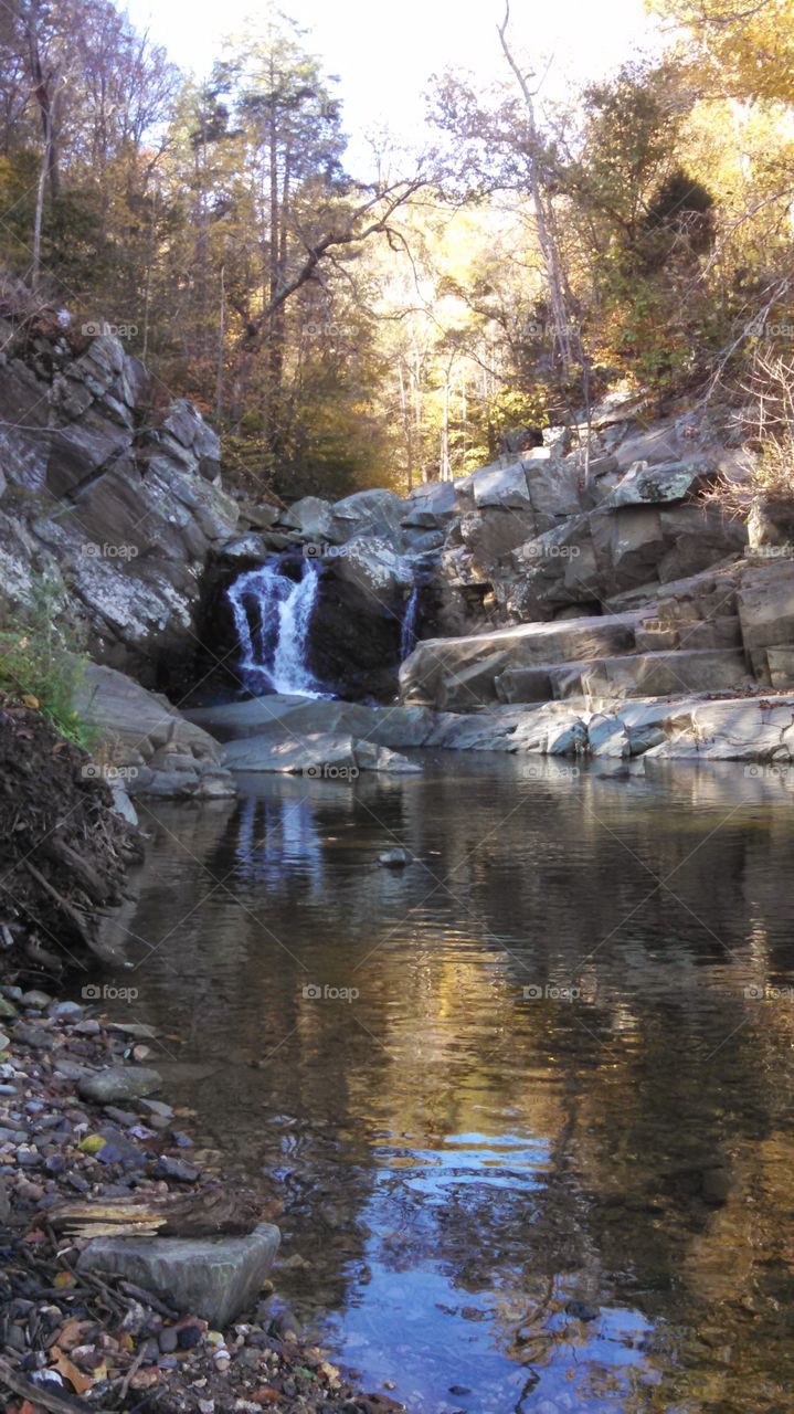 waterfall and nature scene