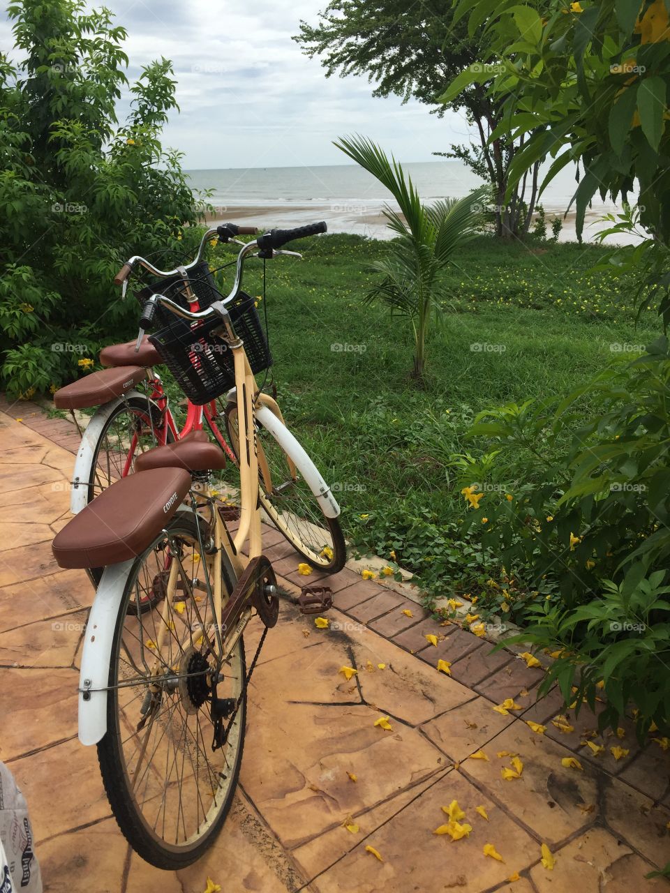A beautiful day for a cycle along Thailand’s central coast