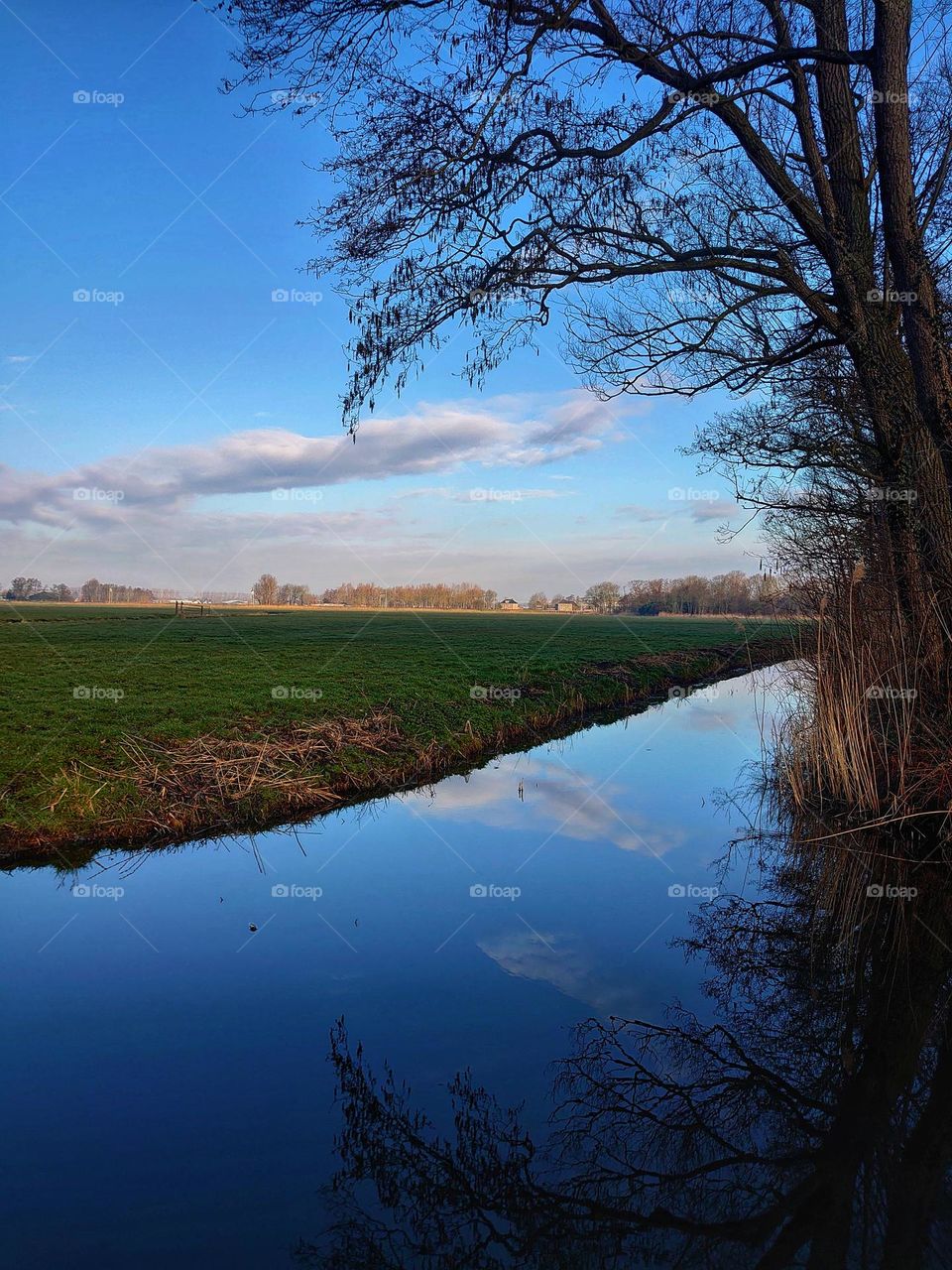 Clouds reflect in water