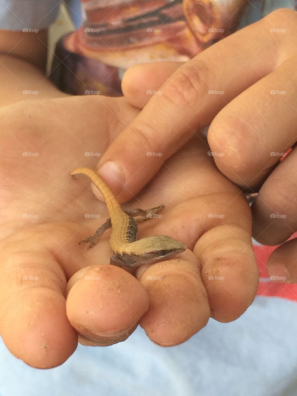 Holding a little lizard