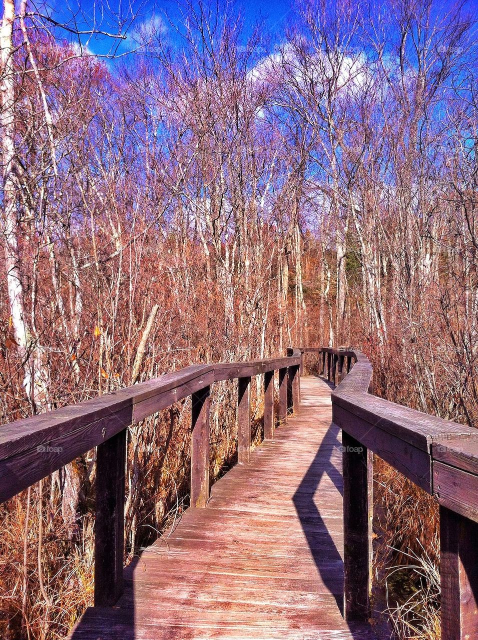 Dinosaur State Park, CT