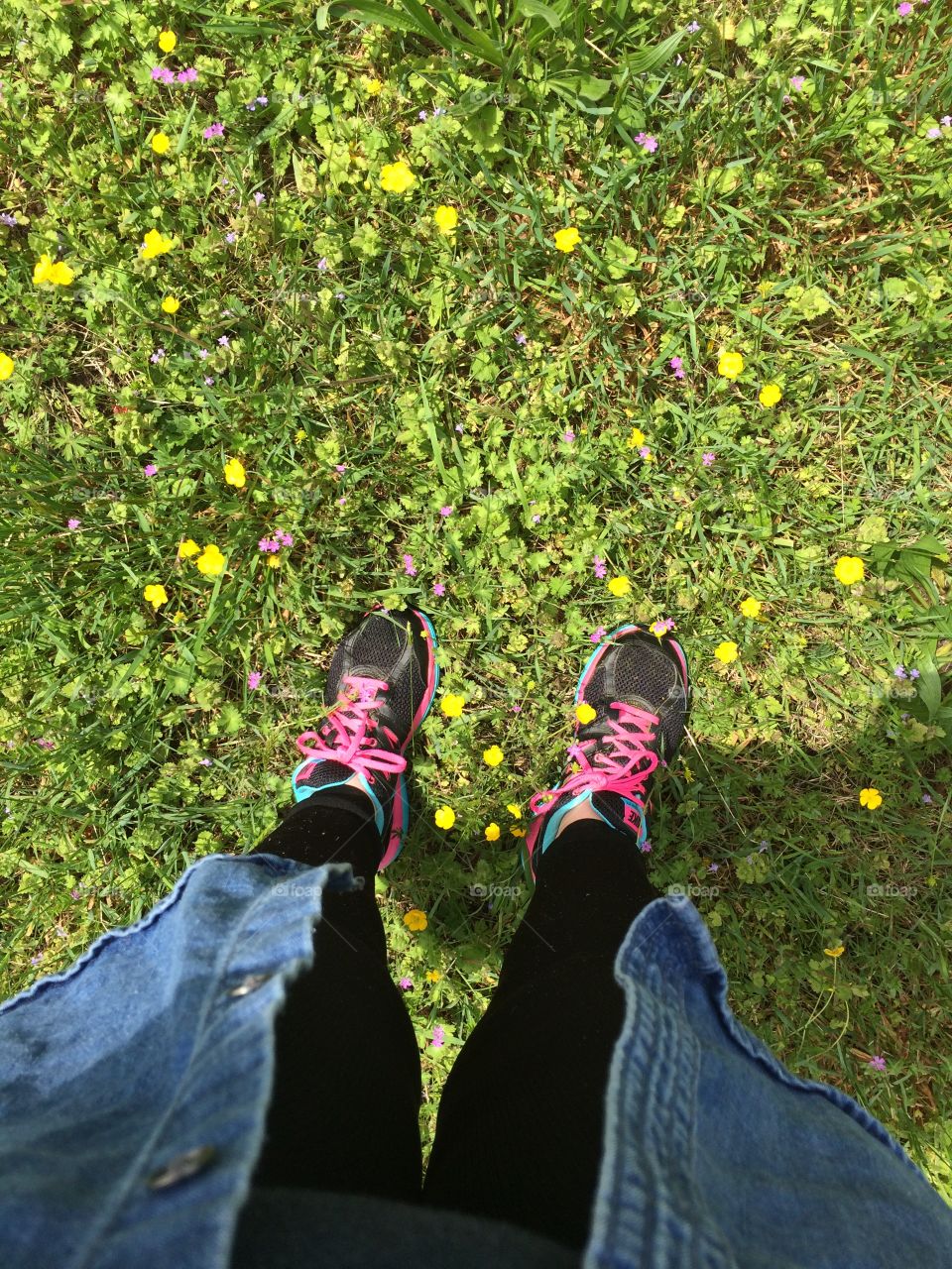 Outdoors, Flower, Leaf, Garden, People