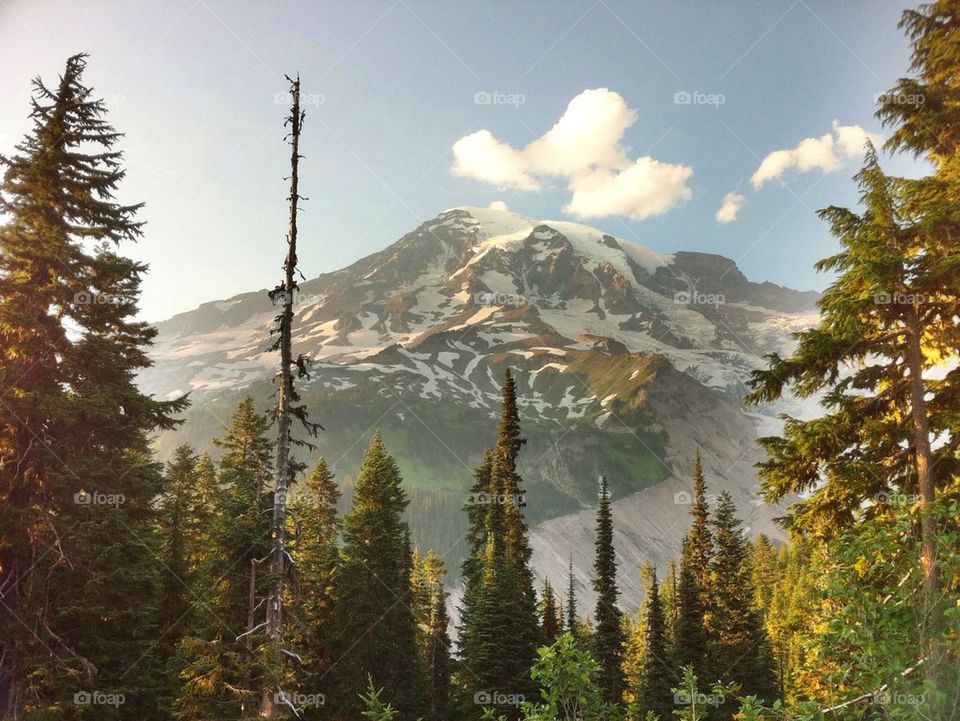 Snowy mountain in winter