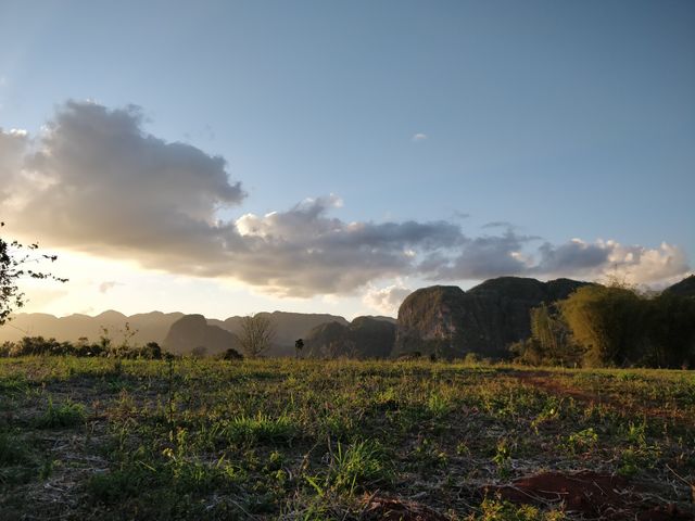 nature, vinales, Cuba, Sunset, palms
