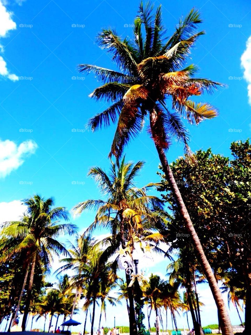 Fort Lauderdale! USA!<3