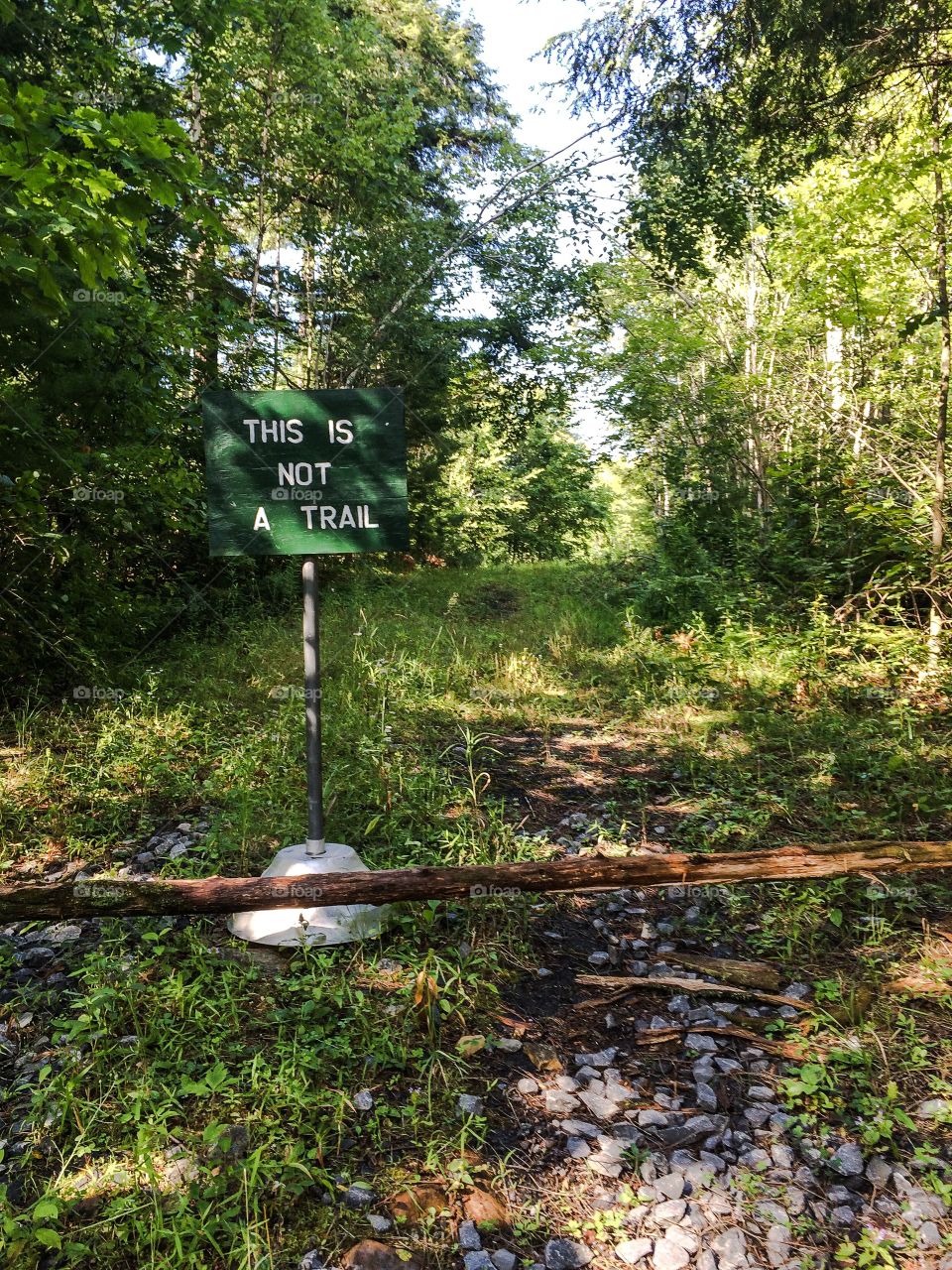 This is Not a Trail. Wrong turn while hiking in the Adirondacks 