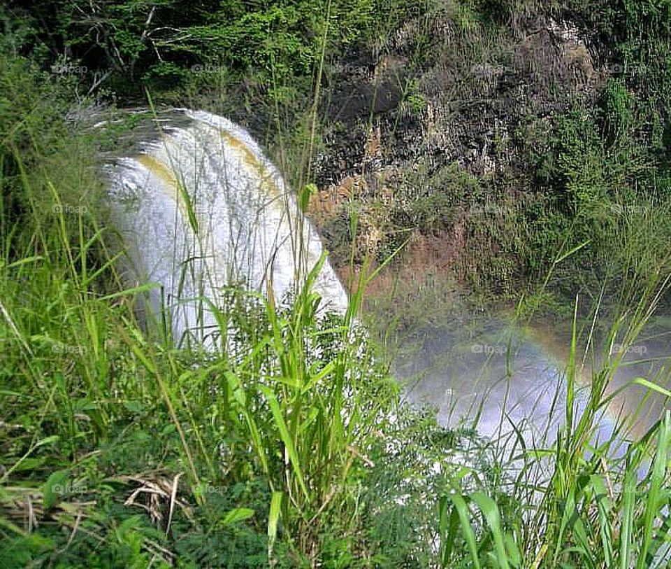 Hawaii waterfall
