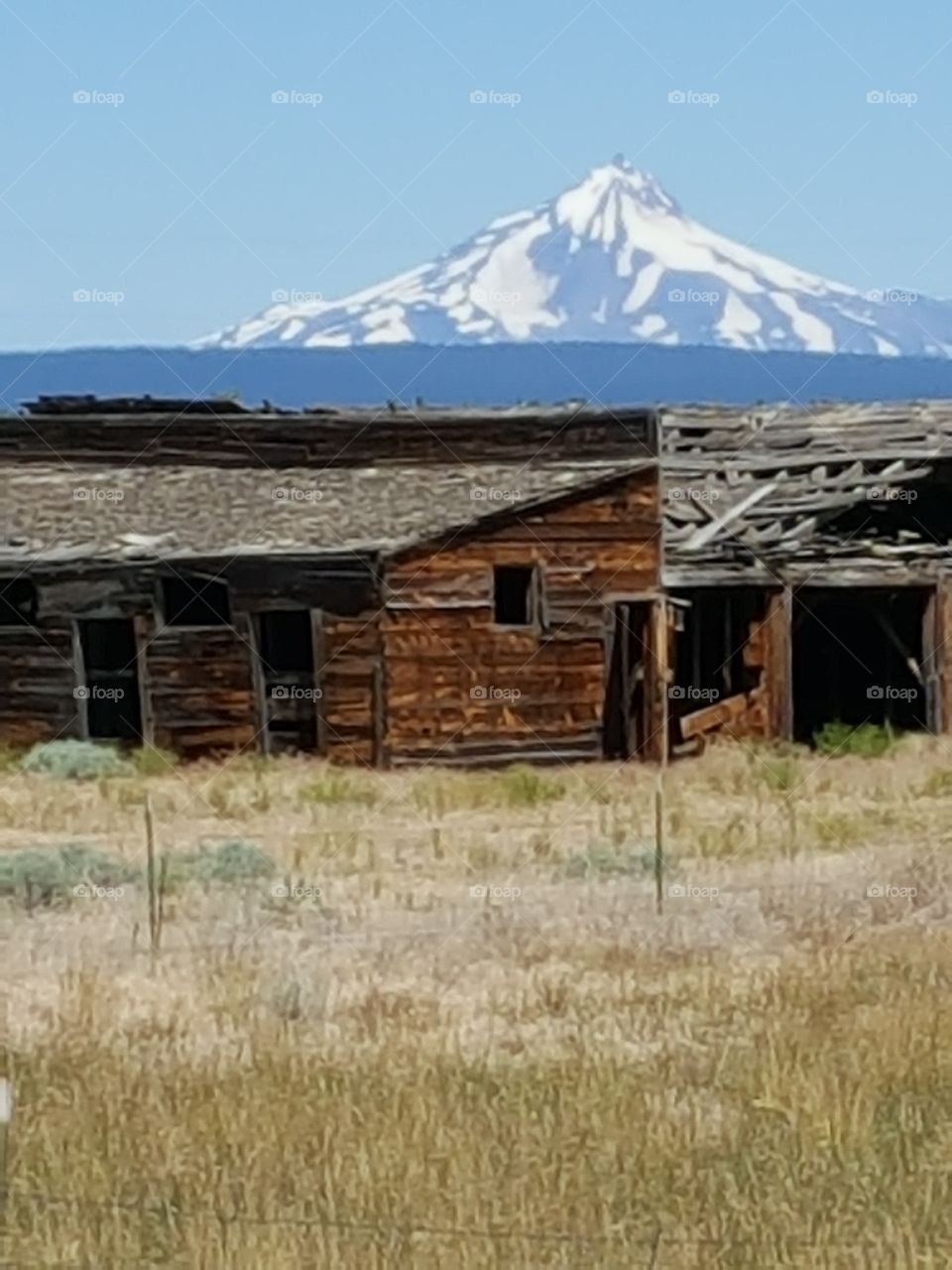 Old Stable against Mt. Jefferson