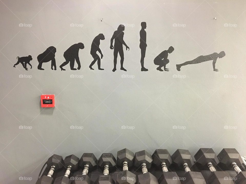 Fitness as human evolution 