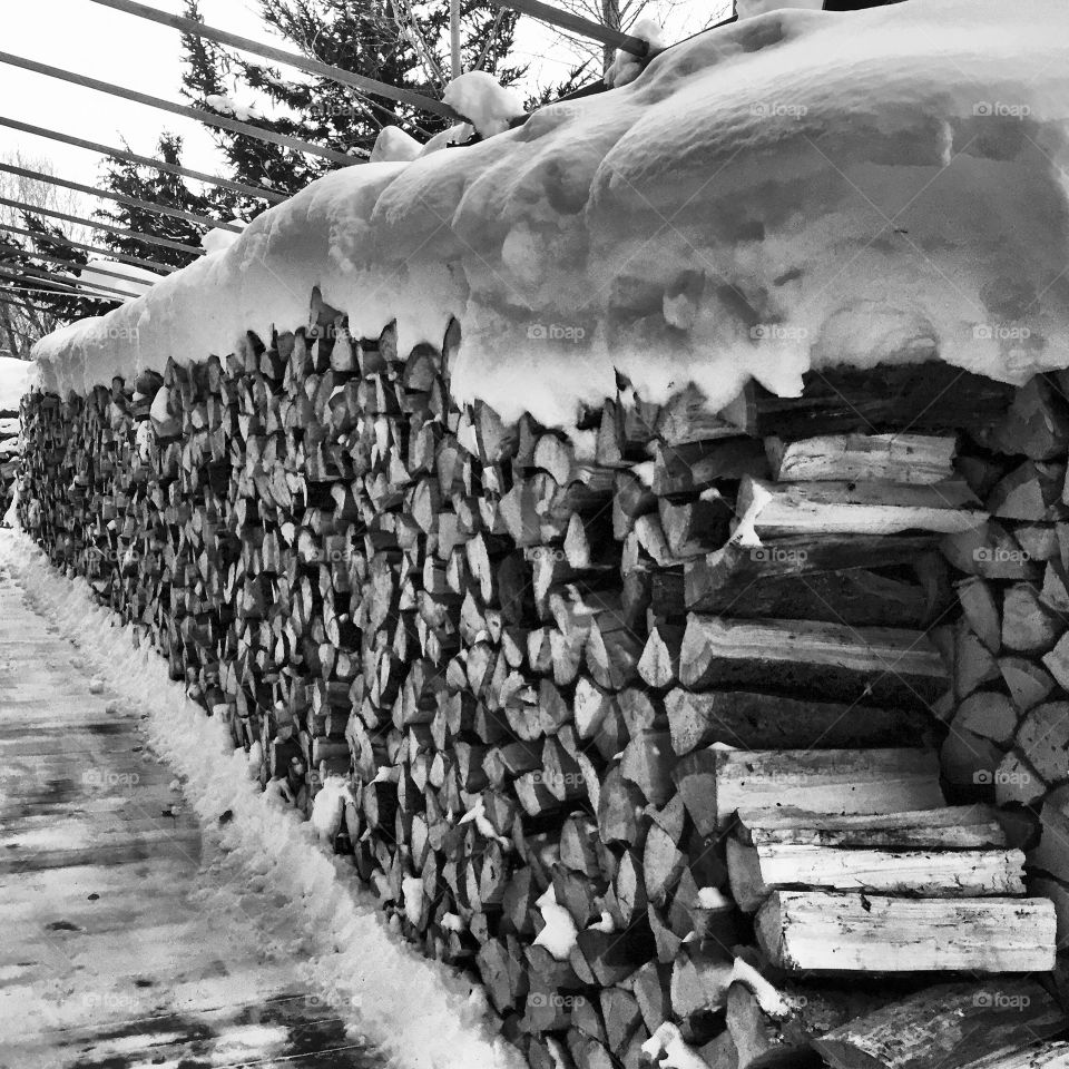 Firewood