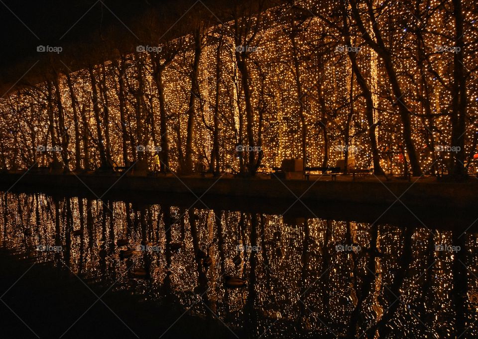 No Person, Dawn, Wood, Dark, Reflection