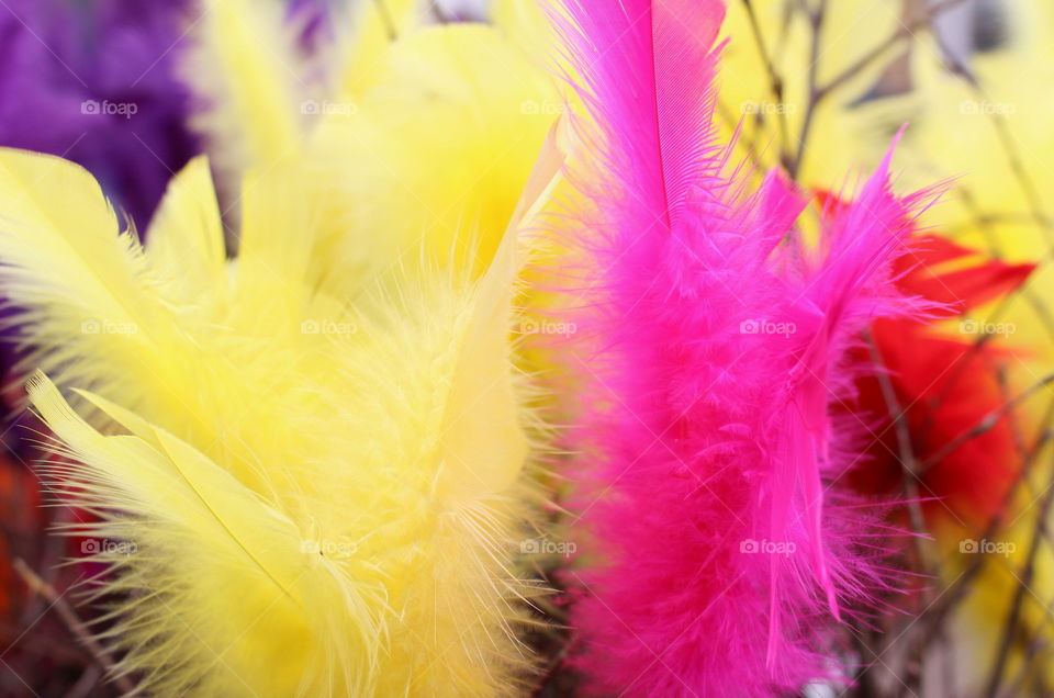 Easter feathers