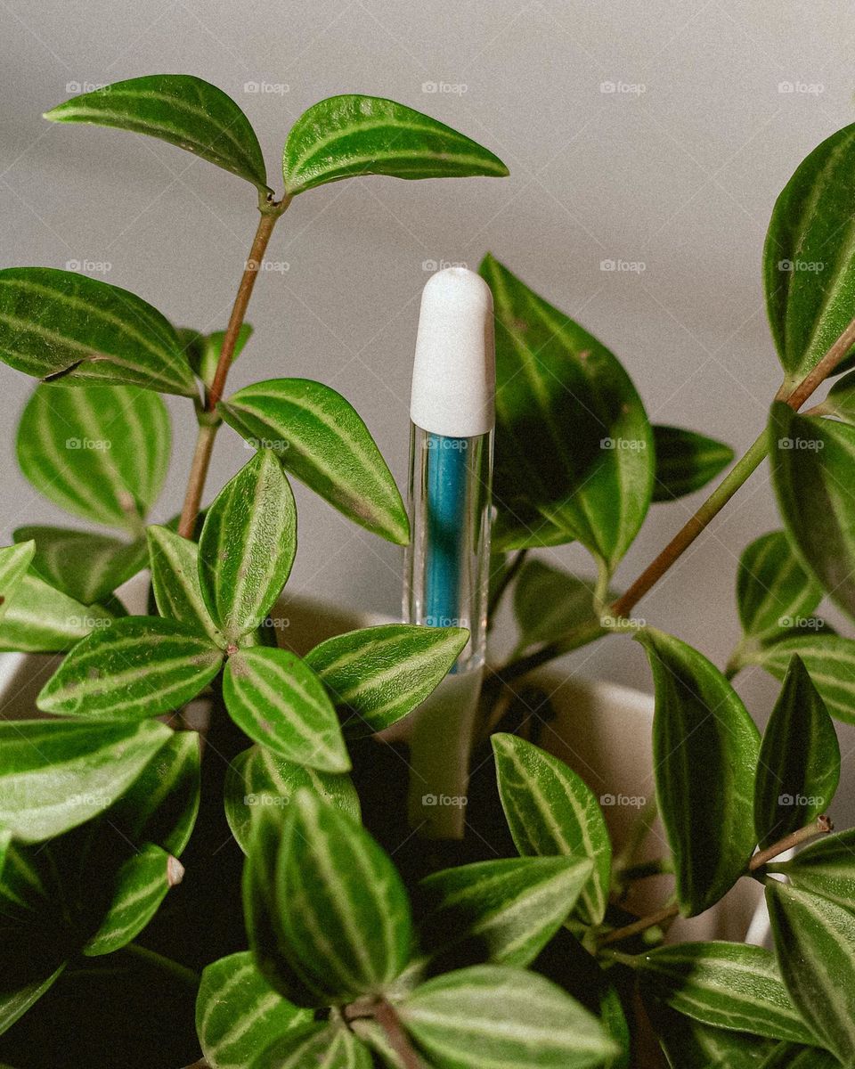 Sustee watering indicator