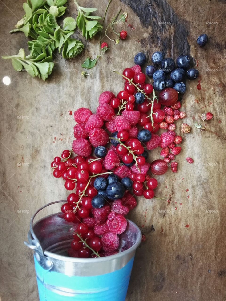 Colored berries fall out from garden bucket